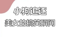一本二本三本区别高清视频